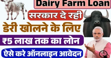 Dairy Farm Business Loan